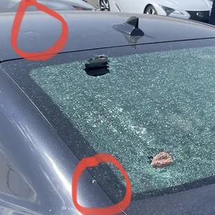Rocks thrown from a neighboring Party Hall's landscaping causing several dents, scratches and a broken rear window.