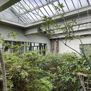 Texas Discovery Gardens