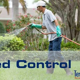 Aransas Pass Weed Control