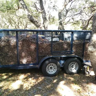 Leaf Clean Up Ingleside Texas