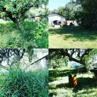 Lawn Service Rockport Texas