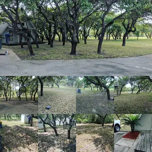 Leaf Clean Up Aransas Pass Texas