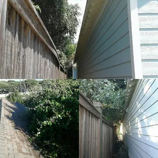 Tree Service Rockport