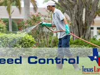Texas Lawn Pros