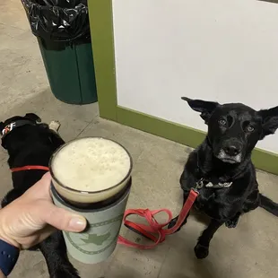 Dogs allowed at the brewery!