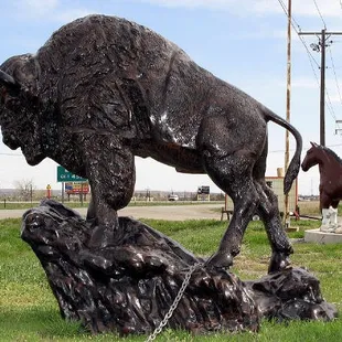 Buffalo on a Rock. $2000