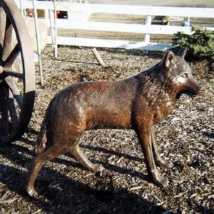 Wolf, Standing. $450