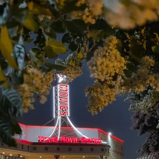 The pretty trees that lead to TMB.