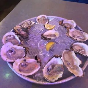 Dozen Oysters - Natures Viagra ;-)