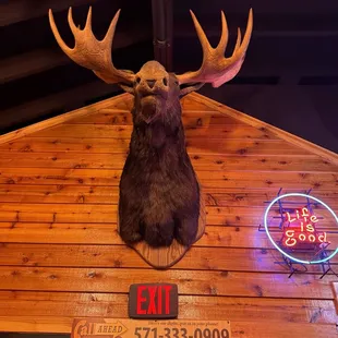 Life is good, unless you're that big guy over the entrance.