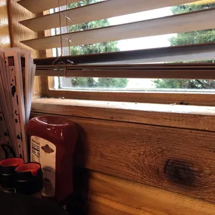 Bugs on the window sill