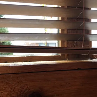 Bugs on the window sill