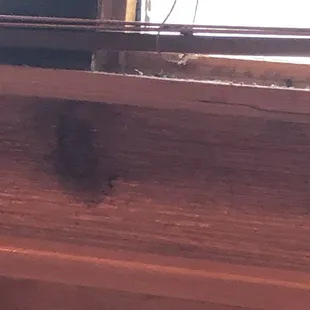 Bugs on the window sill