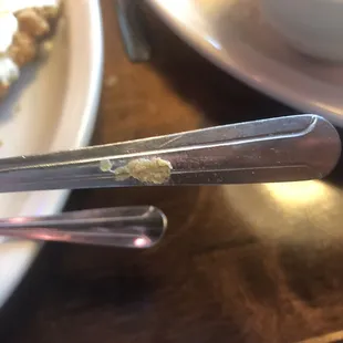 Old caked on food on my fork