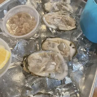 1/2 dz raw oysters