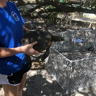 Texas sealife center