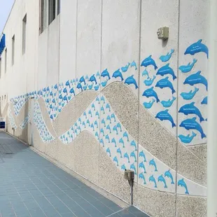 Donors get their own dolphin on the wall.