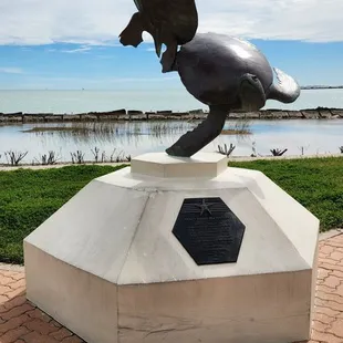 Statue of an endangered species of sea turtle.