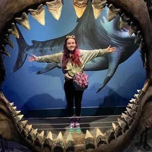 Megladon jaw size! (Me)