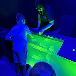 Petting jellyfish