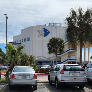 Outside of the aquarium.