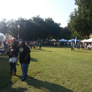 TX VEGGIE FAIR