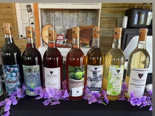 Tempe Creek Vineyard & Farms