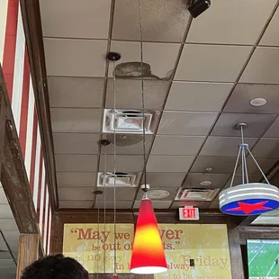 Water stains all over ceiling. Was honestly curious if it was black mold too