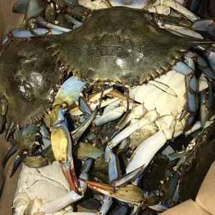 Fresh blue crabs 3.99/lb 11/10/21