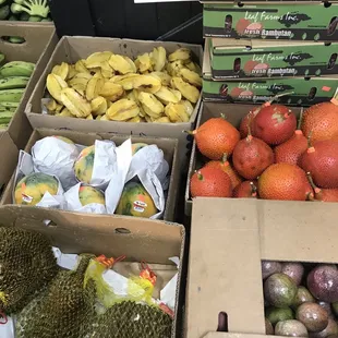 a variety of fruits and vegetables