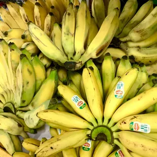 We carry Thai bananas, baby bananas, burro bananas, and regular cavendish bananas.