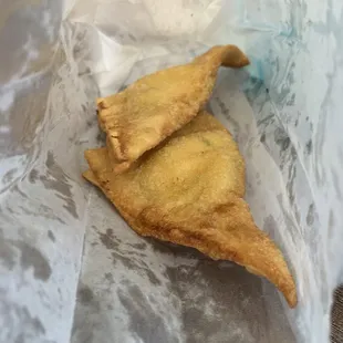 Won tons