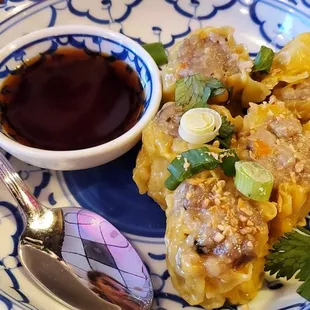 Steamed Dumplings FANTASTIC! $8.95