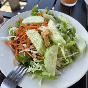 Cucumber salad! Fresh and delicious!