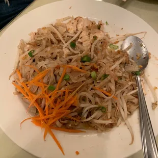 Pad Thai with Level 2 spicy.  Good flavor and right level of heat.