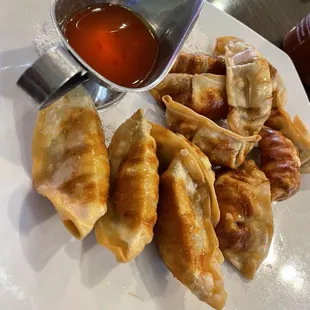 Chicken Dumplings