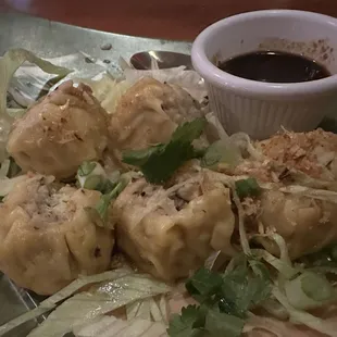 Thai Dumplings