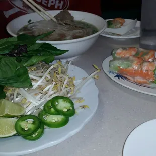 Pho Everest-- the special pho, shrimp spring rolls, and a plate full of fresh veggies/herbs.