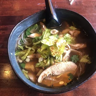 Chicken Stew Noodle Soup