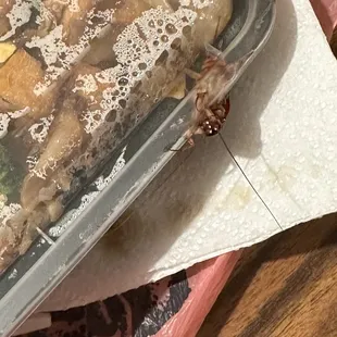 Cockroach with a side of Pad See Eew