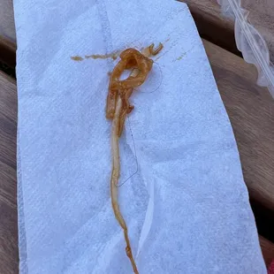 Hair in my pad that