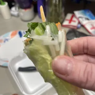 Spring Rolls