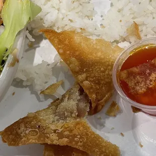 Fried Wonton