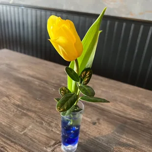 Real tulip at the table