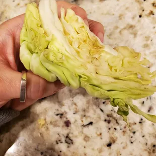 More old cabbage.