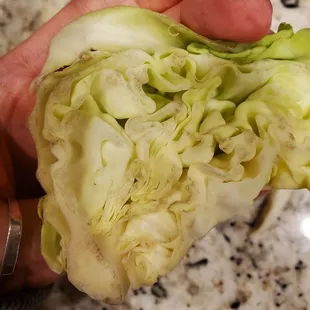 Too much old and moldy cabbage.