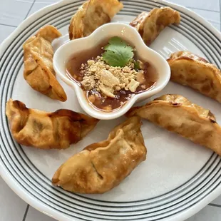 Fried Dumplings