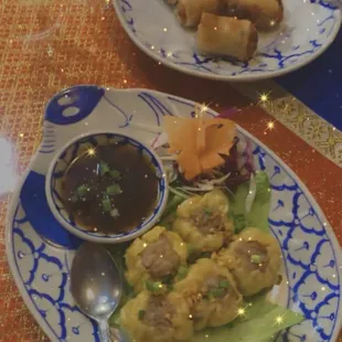 Homemade dumplings and Spring Roll (4)