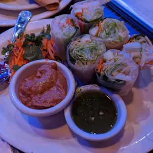 Fresh spring rolls