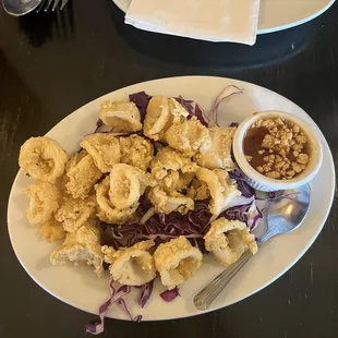 Fried Calamari